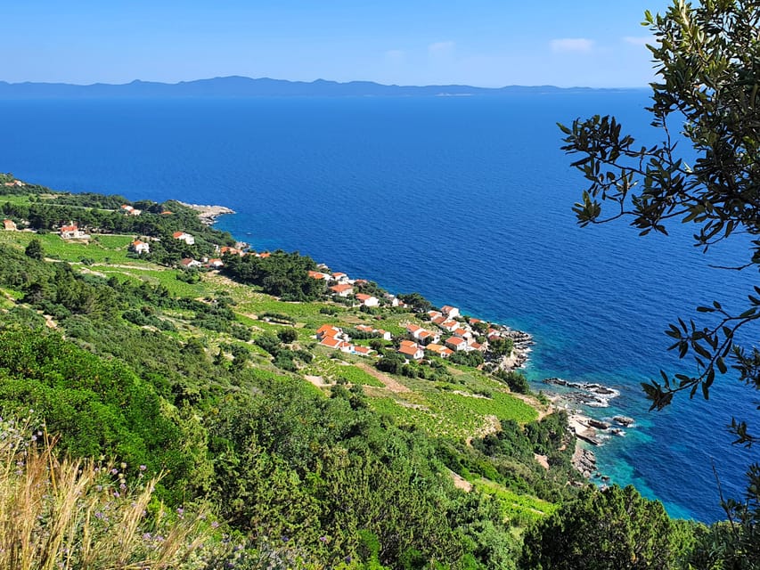 Dubrovnik Private Wine Tasting Tour To Peljesac - Customer Feedback