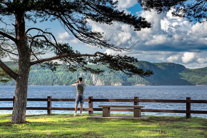 E-Bike Rental - 3 Hour Along the Shoreline Bike Path - Scenic Shoreline Exploration