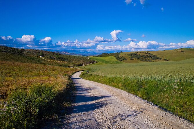 E-Bike Rental Sierra De Las Nieves (Alozaina). Free GPS Tracks and App Included. - Reviews and Ratings