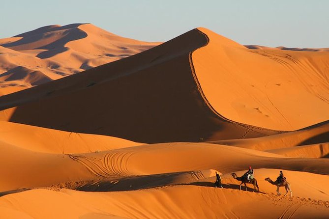 ✅ Camel Ride and Overnight in Sahara Desert Camp - Accessibility and Child Policy