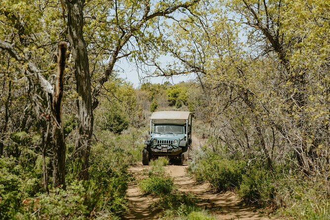 East Zion Brushy Cove Jeep Tour - Participant Guidelines and Restrictions