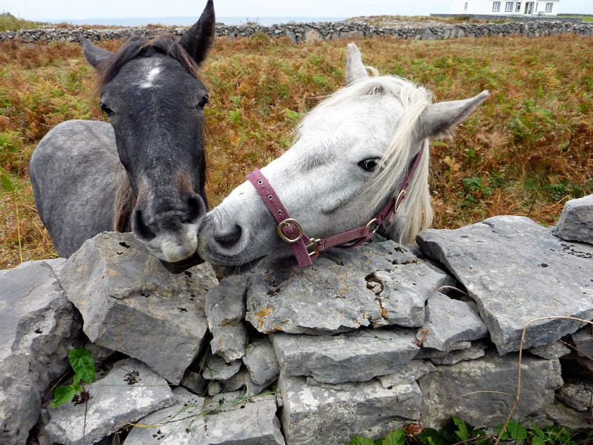 Ebiking on Inishmore Island. Aran Islands. Self-Guided - Customer Feedback