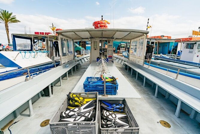 Eco-snorkeling in the Medes Islands - Capturing Memories Underwater
