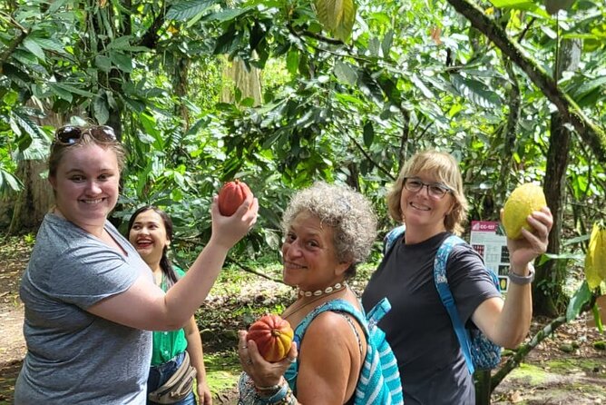 Eden Chocolate Tour With Lunch Included - Chocolate Tasting Flight