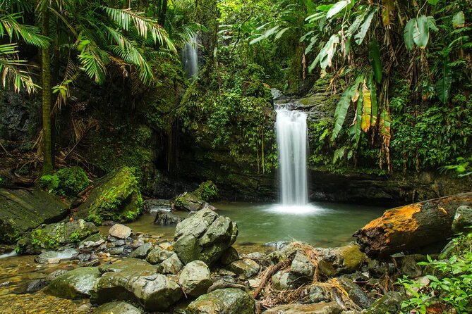 El Yunque Rainforest Guided Tour - Booking Options