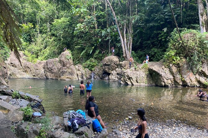 El Yunque Rainforest Morning River and Hike Adventure - Tour Highlights