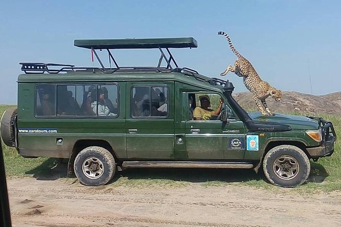 Elephant Special Serengeti & Ngorongoro Crater 5 Days / 4 Nights - Review Insights