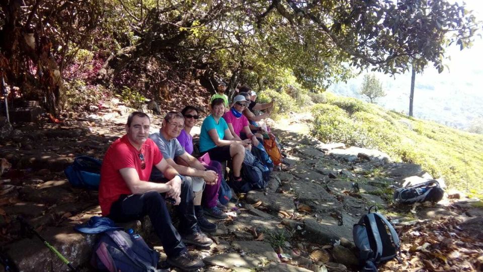 Ella- 3-Days Trekking in Tea Plantation Forest & Waterfalls - Experience and Environment