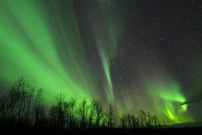 Enjoy the Aurora Show on Top of the Mountain Inc Tipi Dinner - Group Size and Age Requirement