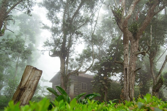 Escape Accra City to Aburi Gardens and Tetteh Quarshie Cocoa Farms - Guest Experiences and Reviews
