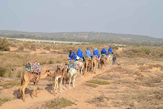 Essaouira 2-Hour Camel Adventure Ride - Traveler Reviews and Feedback