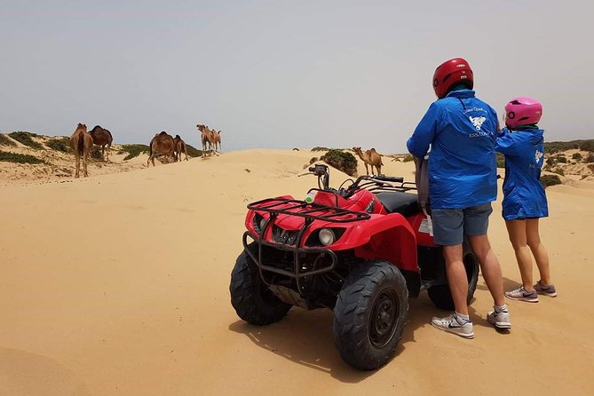 Essaouira: 2h/ Quad + 2h/ Dromedary Free Transfer - Quad Biking Adventure