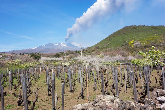 Etna Private Tour From Messina Cruise Terminal + Lunch at Winery - Honey Shop Tastings