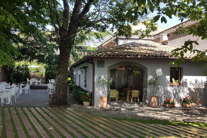 Etna Scenic Tour & Wine Experience (Day Trip) - Transportation and Accessibility
