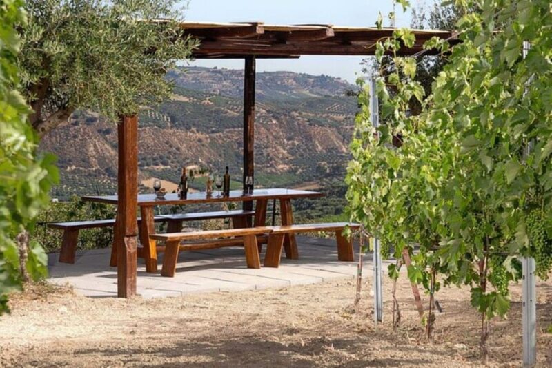 EUPHORIA Wine Tour & Tasting at Douloufakis Vineyards - Weather Contingency Plan