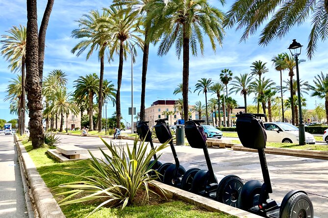 Evening 2 Hour Segway Tour of Palma - Customer Feedback