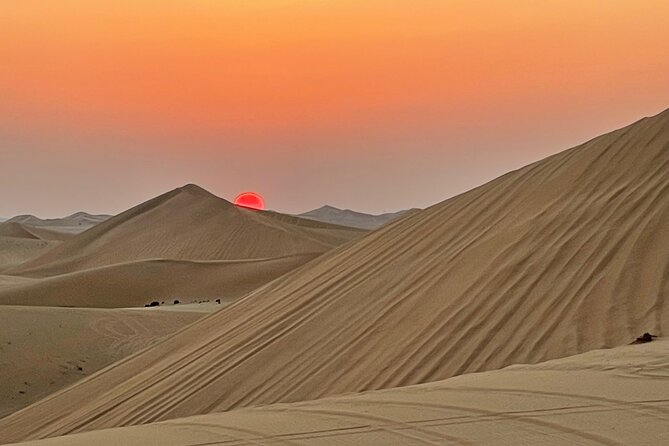 Evening Desert Safari Abu Dhabi With BBQ Dinner & Shows - Quad Biking Optional Activity