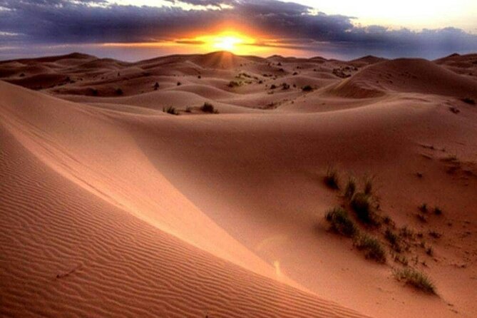Exciting DXB Morning Desert Safari: Camel Ride & Sandboarding! - Scenic Photo Opportunities