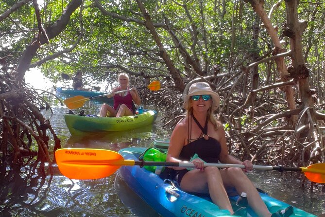 Exclusive Kayak Expedition: Exploring the Mangroves to Shell Key - Feedback From Satisfied Adventurers