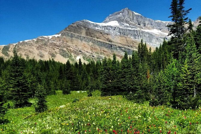 Exclusive Skoki Backcountry Guided Hiking in Lake Louise With Van Shuttle - Professional Guidance