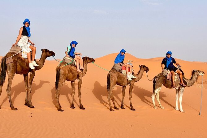Excursion From Ouarzazate to Vallee Du Draa, Zagora and Dunes De Tinfou - Accessibility Features