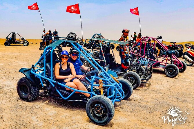 Excursion in Minibuggys in Paracas National Reserve - Transportation and Logistics