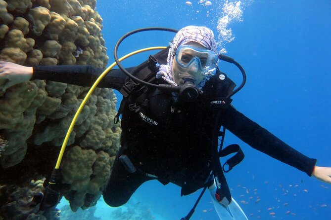 Excursion to Tiran Island by Boat - Qualified Instructors and Guides