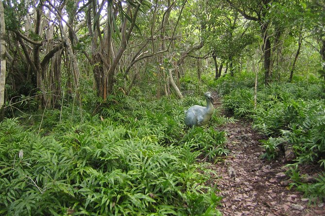 Exotic East of Mauritius: Full-Day Incl Ile Aux Aigrette & Blue-Bay Marine Park - Traveler Participation