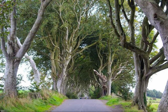 Experience the Antrim Coast and the Land of Giants - Private Tour - Included Amenities
