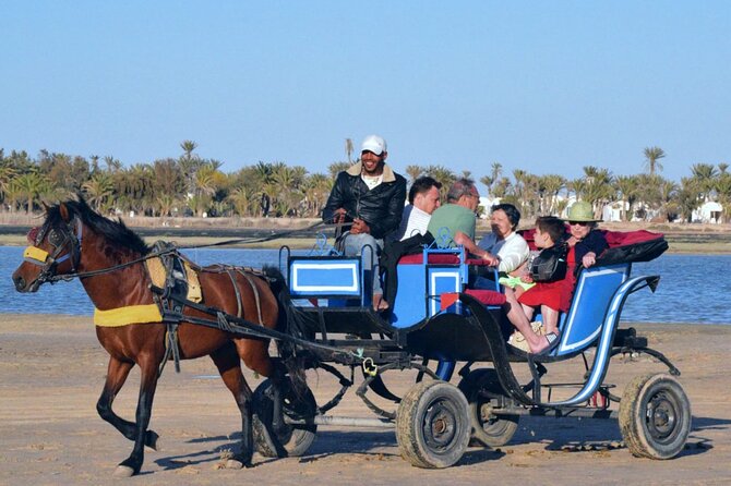 Explore Djerba With Our Four-Legged Friends - Scenic Routes and Views