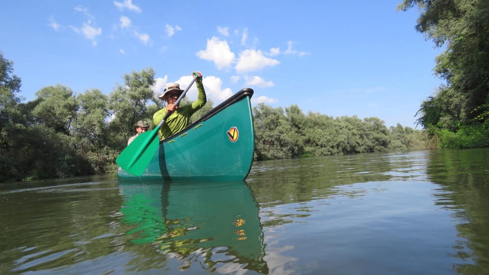 Exploring the Magic of the Danube Delta Through Photo Lenses - Wildlife Photography Opportunities