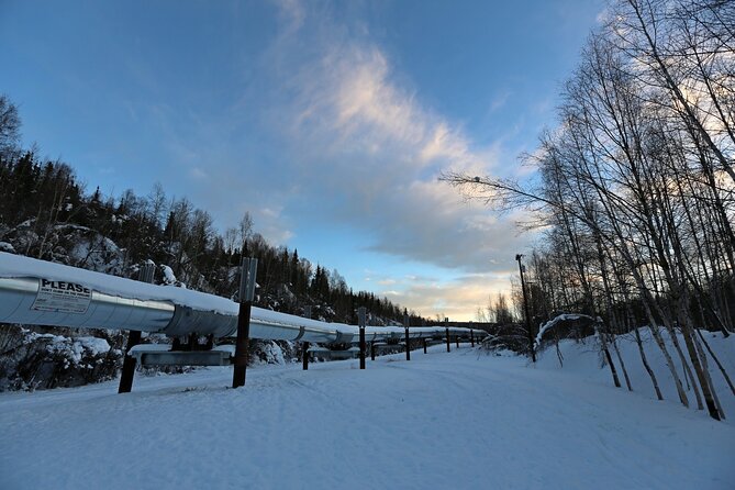 Fairbanks Autumn/Winter City Tour - Tips for an Enjoyable Tour