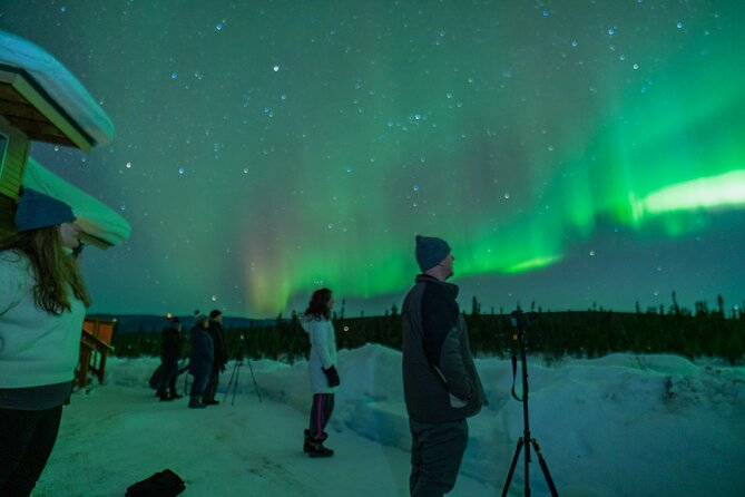 Fairbanks Northern Lights Tour - Traveler Reviews and Feedback