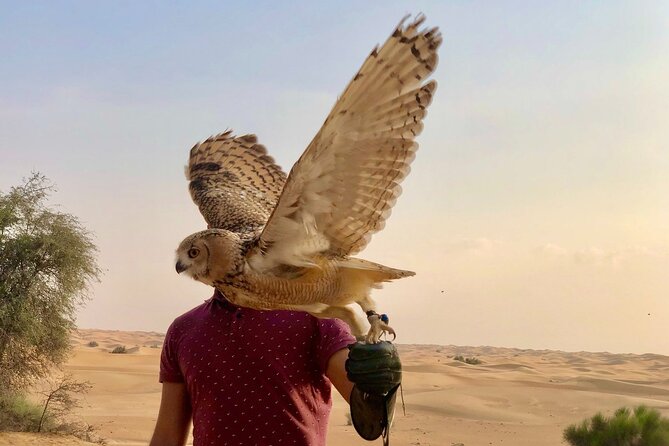 Falcon 1—Private Dubai Falconry Safari - Booking and Cancellation Policy