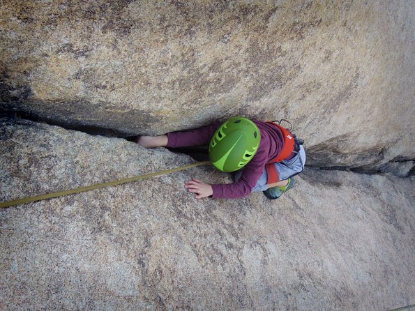 Family Rock Climbing Trips in Joshua Tree National Park (4 Hours) - Reviews and Testimonials