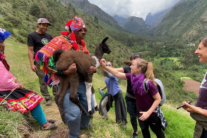 Family Trek With Llamas (Full Day) - Llama Trekking Experience