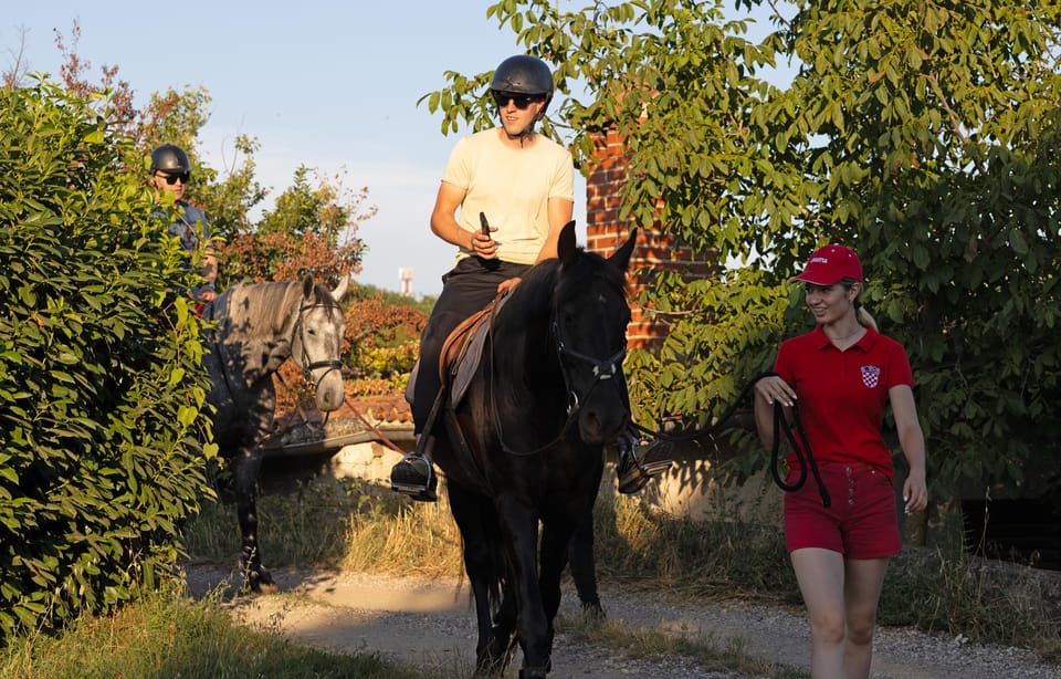 Fazana: Sunset 1-Hour Horse Riding in Nature With Guide - Customer Feedback