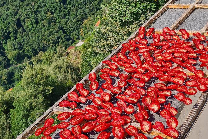 Ferriere Waterfalls Walk - Amalfi and Ravello Coast - Cancellation and Refund Policy