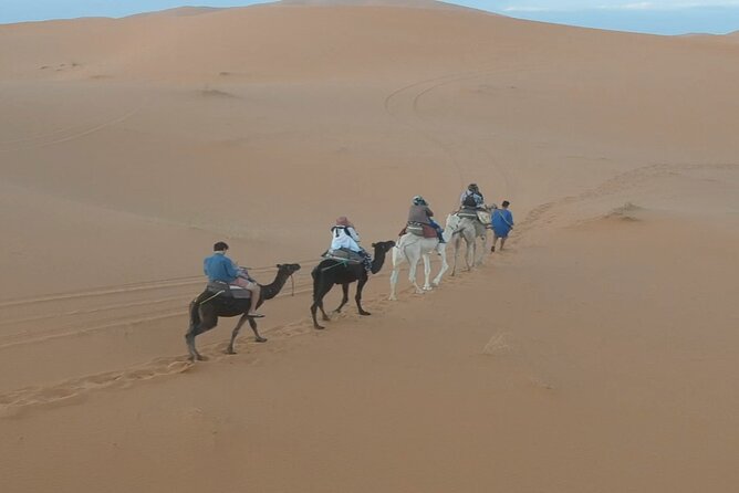 Fes Desert Tour 3 Days - Frequently Asked Questions