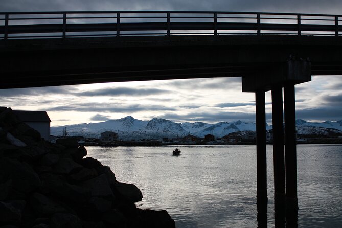 Fjord Adventure With Local - Local Guides and Storytelling