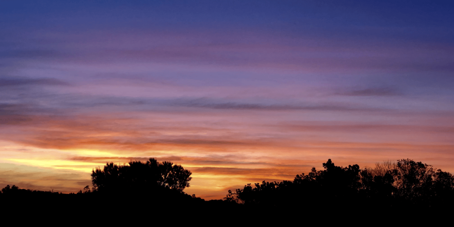 Franschhoek: 2h Horseback Riding at Sunset With Sundowners - Safety Precautions