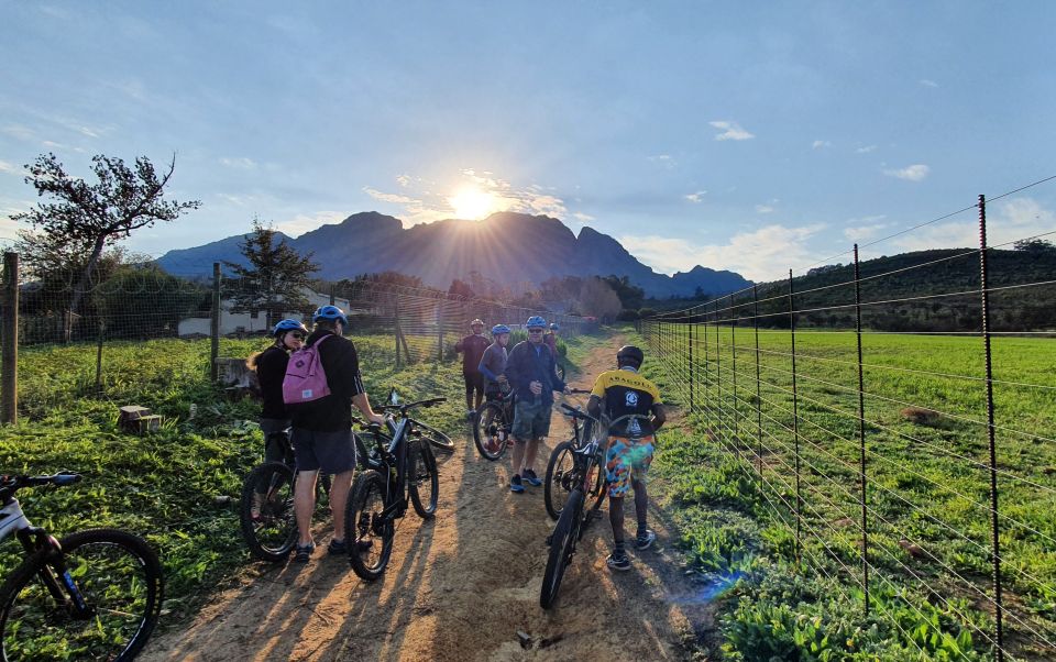 Franschhoek: E-Bike Tour With Wine Tasting and Lunch - Customer Reviews and Feedback