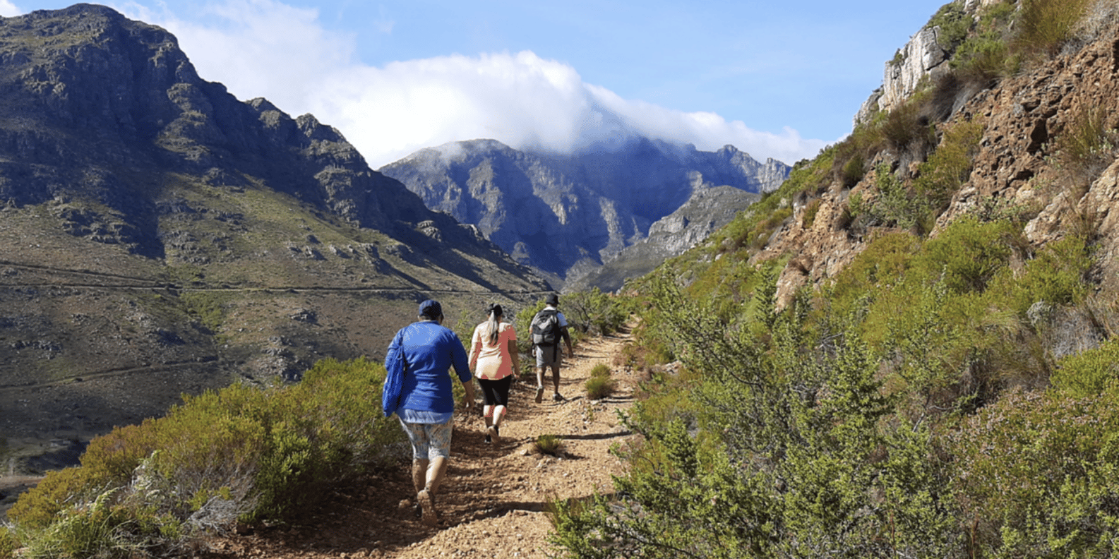 Franschhoek: Half Day Guided Nature Hike and Wine Tasting - Duration and Group Size