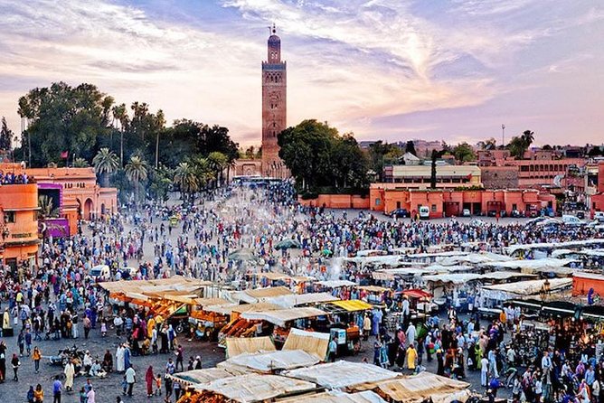 From Agadir or Taghazout: Guided Marrakech Day Trip - Travelers Experiences