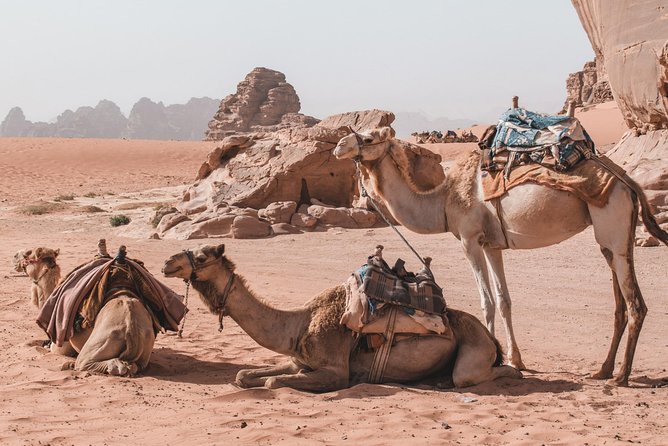 FROM AMMAN | Petra & Wadi Rum in One Day | the Jordanian Mappers - Experience Petra