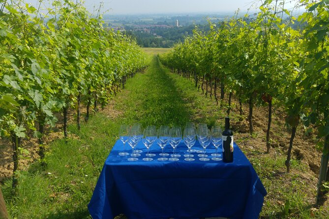 From Bologna: Wine Tasting and Vineyard Tour With the Winemaker - Customer Feedback and Reviews