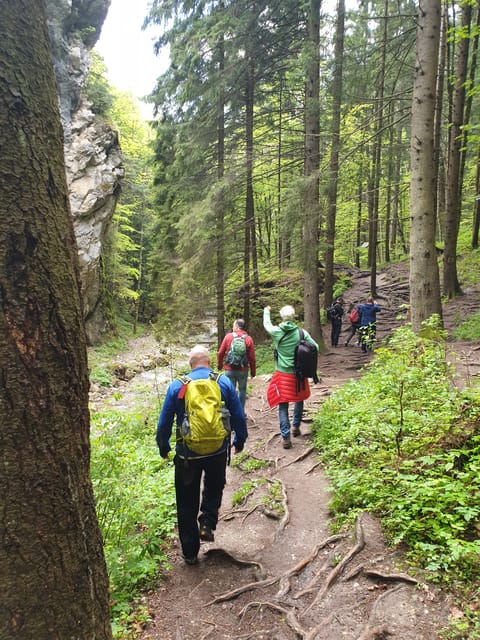 From Brasov: Hiking in Piatra Craiului National Park - Customer Feedback