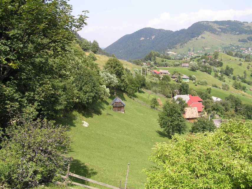 From Brasov: Romanian Mountain Villages Day Tour - Inclusions and Pricing