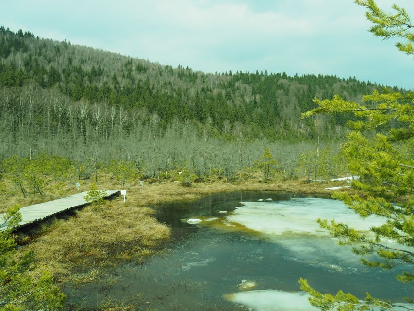 From Brasov: Small-Group Volcanic Lake Day Trip - What to Bring