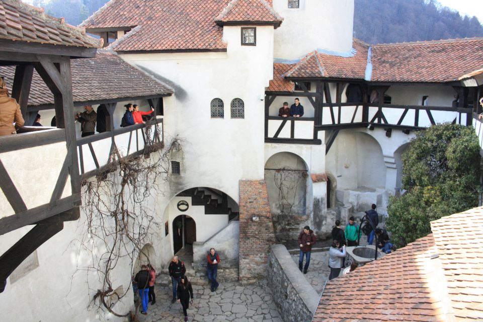 From Bucharest: Bran Castle and Peleș Castle Guided Day Trip - What to Expect